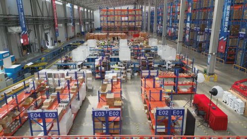 绥芬河跨境电商领跑 从边境节点到流量枢纽的日用百货崛起